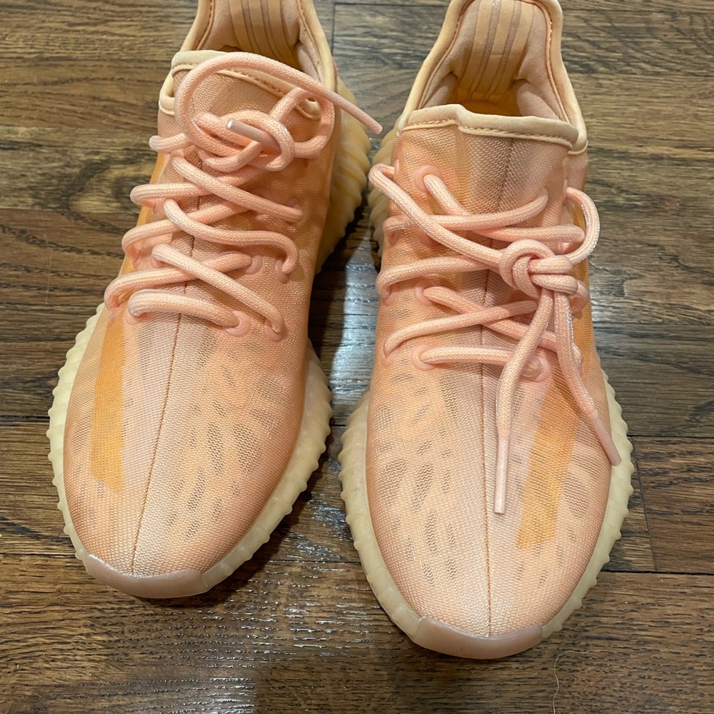 Adidas Yeezy Boost 350 V2 in the 'Mono Clay'